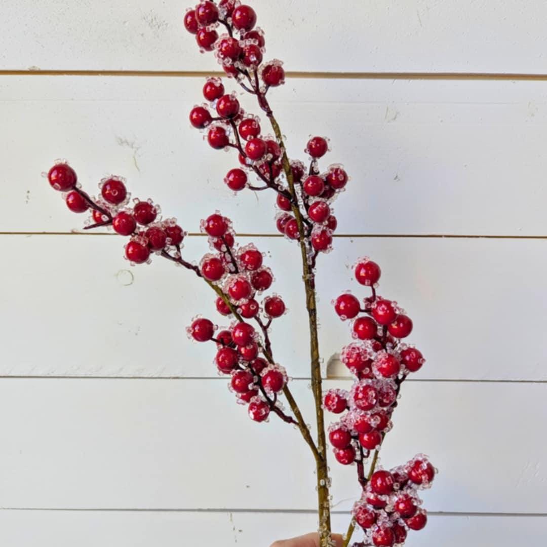 Red Sugared Cranberries for Holiday Floral Arranging & Tree, Cranberries for Christmas Crafting, Frosted Cranberries DIY Floral Arrangement