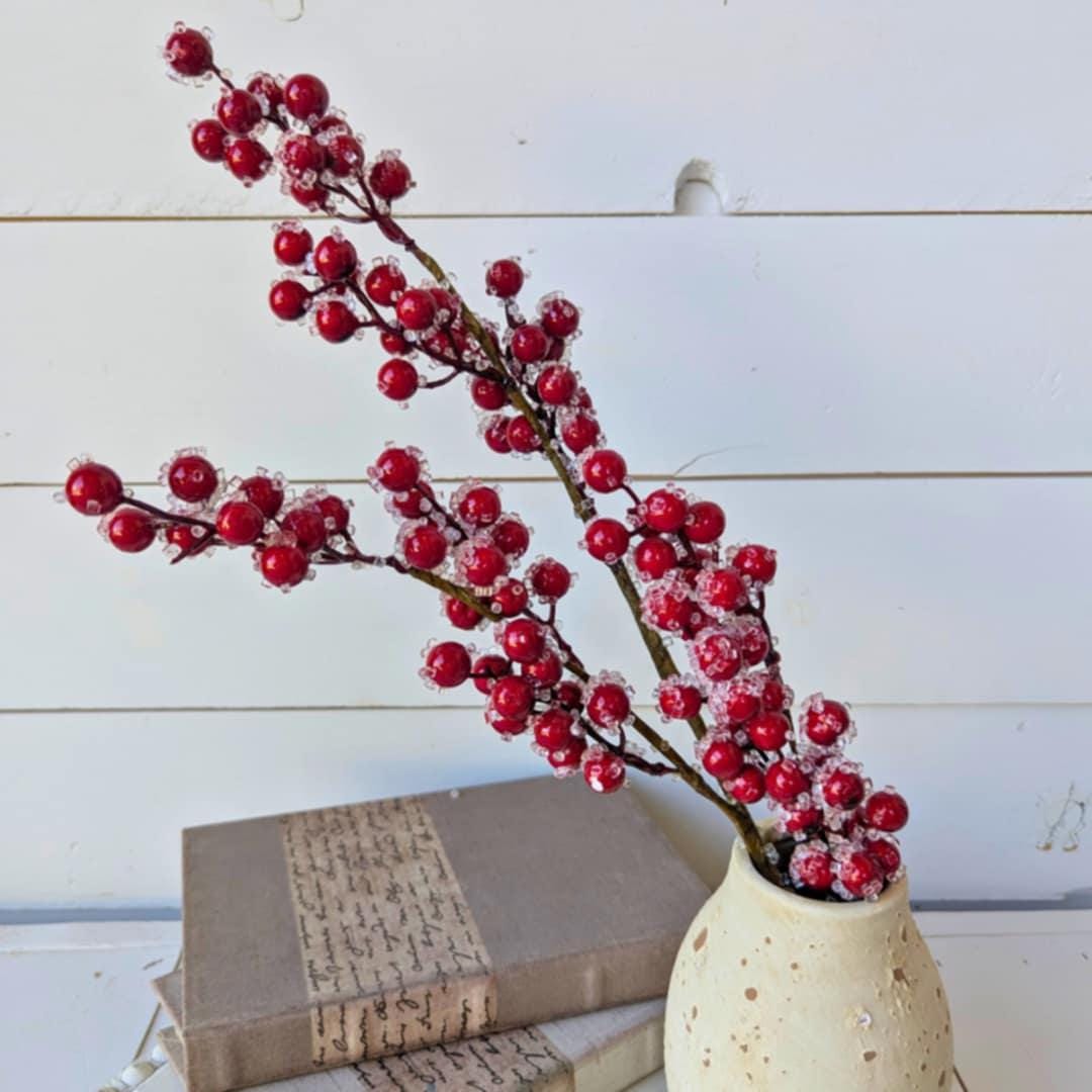 Red Sugared Cranberries for Holiday Floral Arranging & Tree, Cranberries for Christmas Crafting, Frosted Cranberries DIY Floral Arrangement