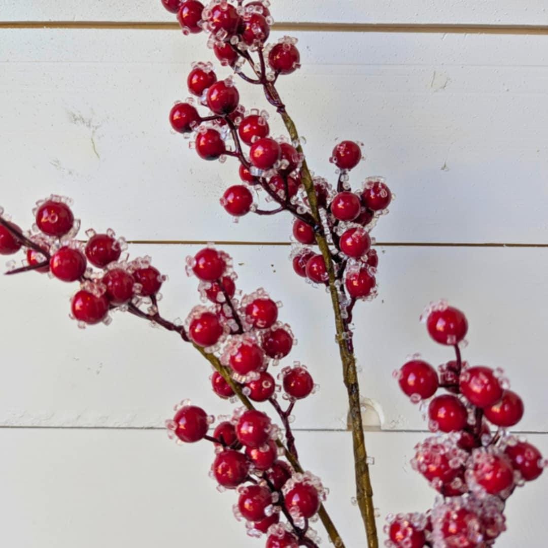 Red Sugared Cranberries for Holiday Floral Arranging & Tree, Cranberries for Christmas Crafting, Frosted Cranberries DIY Floral Arrangement