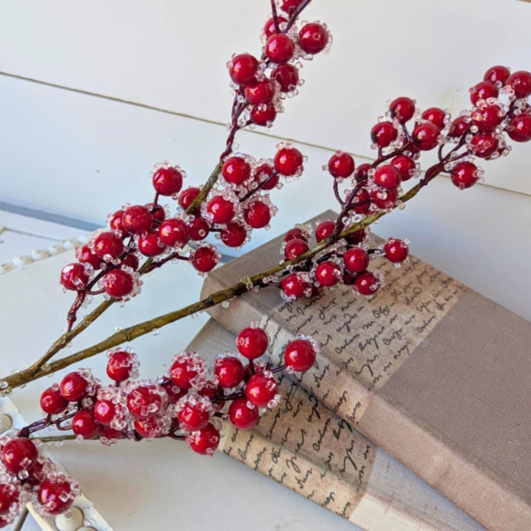 Red Sugared Cranberries for Holiday Floral Arranging & Tree, Cranberries for Christmas Crafting, Frosted Cranberries DIY Floral Arrangement