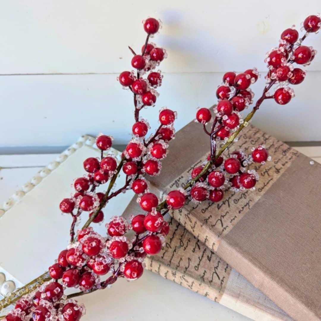 Red Sugared Cranberries for Holiday Floral Arranging & Tree, Cranberries for Christmas Crafting, Frosted Cranberries DIY Floral Arrangement