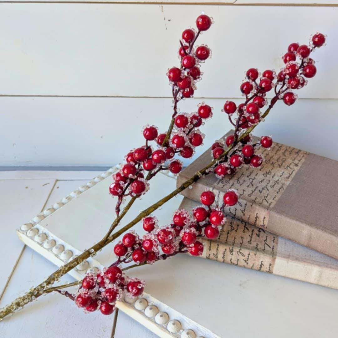 Red Sugared Cranberries for Holiday Floral Arranging & Tree, Cranberries for Christmas Crafting, Frosted Cranberries DIY Floral Arrangement