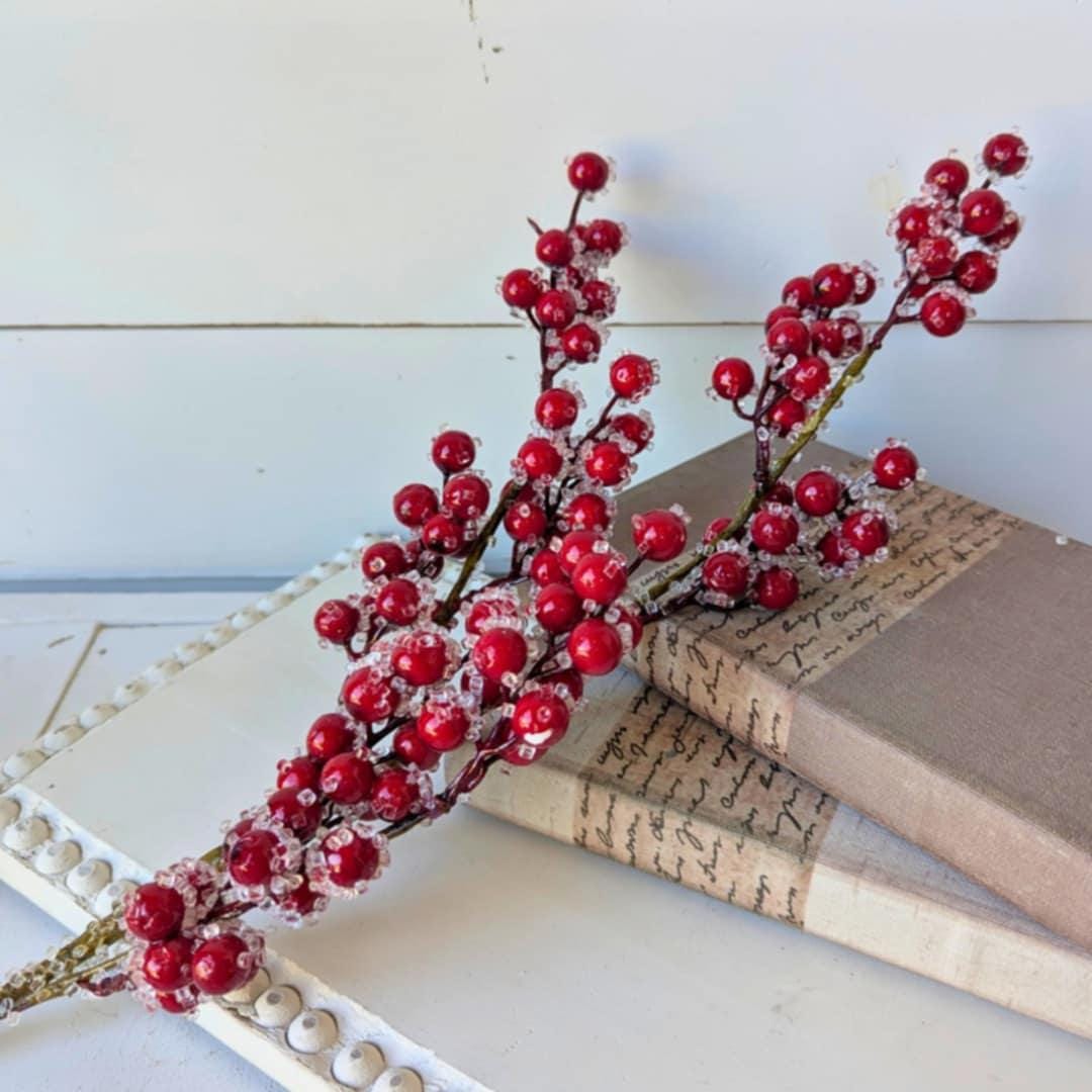 Red Sugared Cranberries for Holiday Floral Arranging & Tree, Cranberries for Christmas Crafting, Frosted Cranberries DIY Floral Arrangement