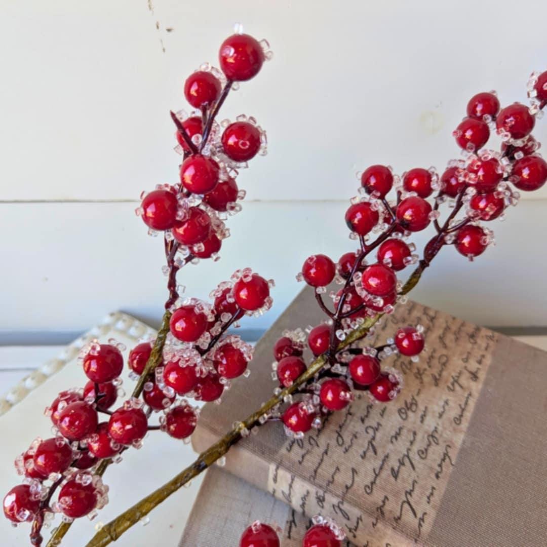 Red Sugared Cranberries for Holiday Floral Arranging & Tree, Cranberries for Christmas Crafting, Frosted Cranberries DIY Floral Arrangement