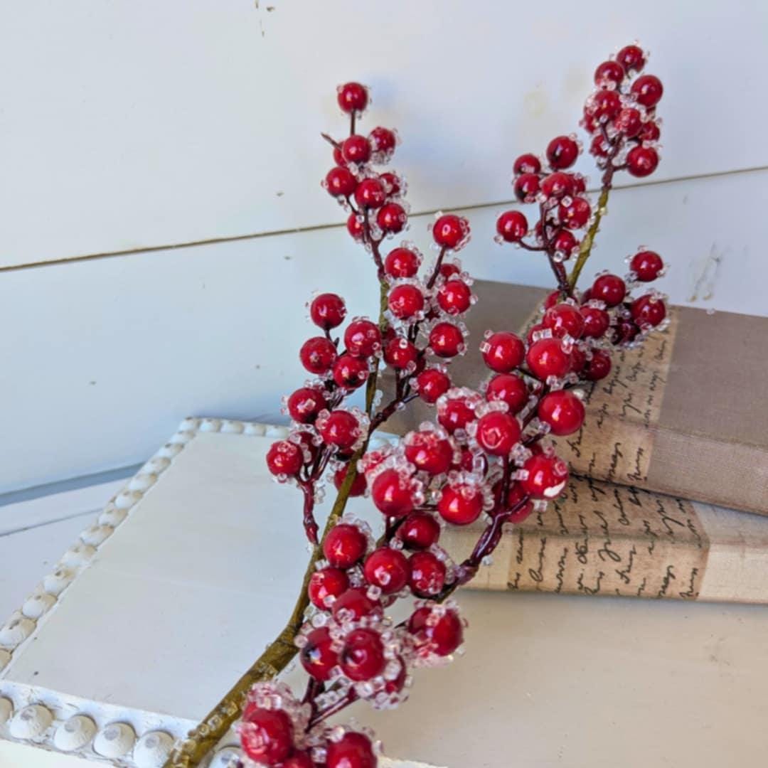 Red Sugared Cranberries for Holiday Floral Arranging & Tree, Cranberries for Christmas Crafting, Frosted Cranberries DIY Floral Arrangement